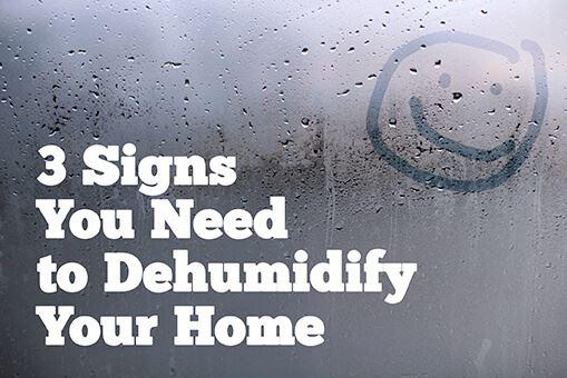 3 Signs You Need to Dehumidify Your Home
