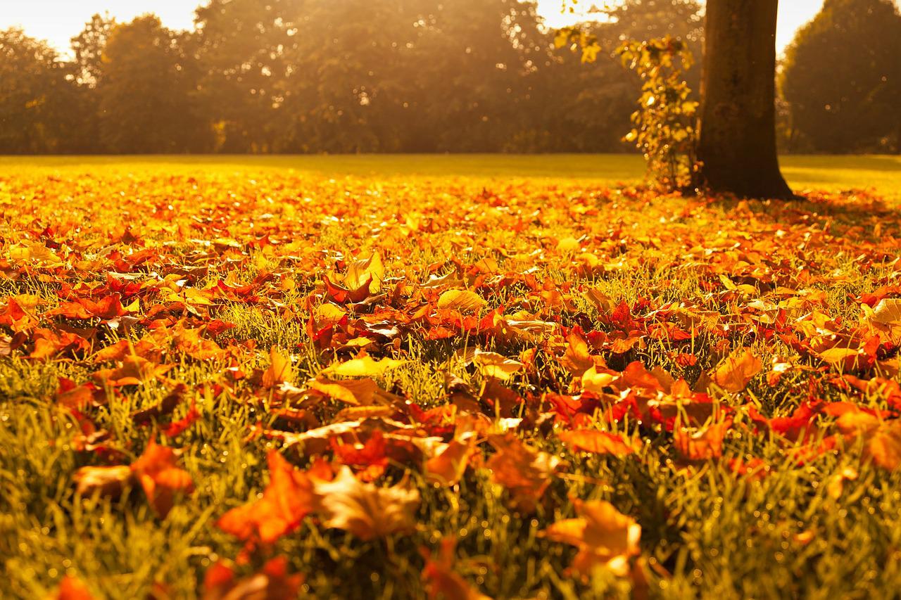 The Benefits of a Professional HVAC Inspection Before Fall in Hudson