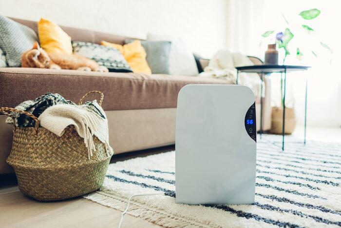The Best Way to Use Your Dehumidifier in Hot Weather