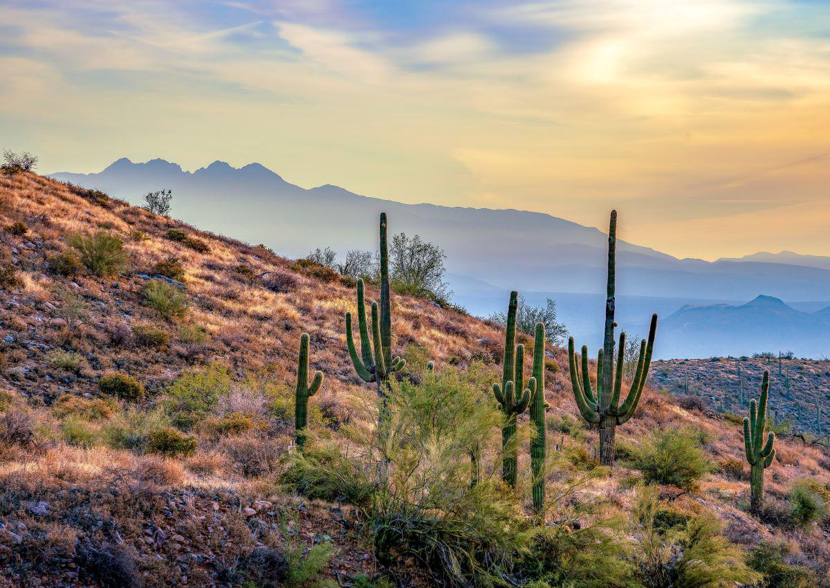 Is Your HVAC System Ready for the Desert Summer?