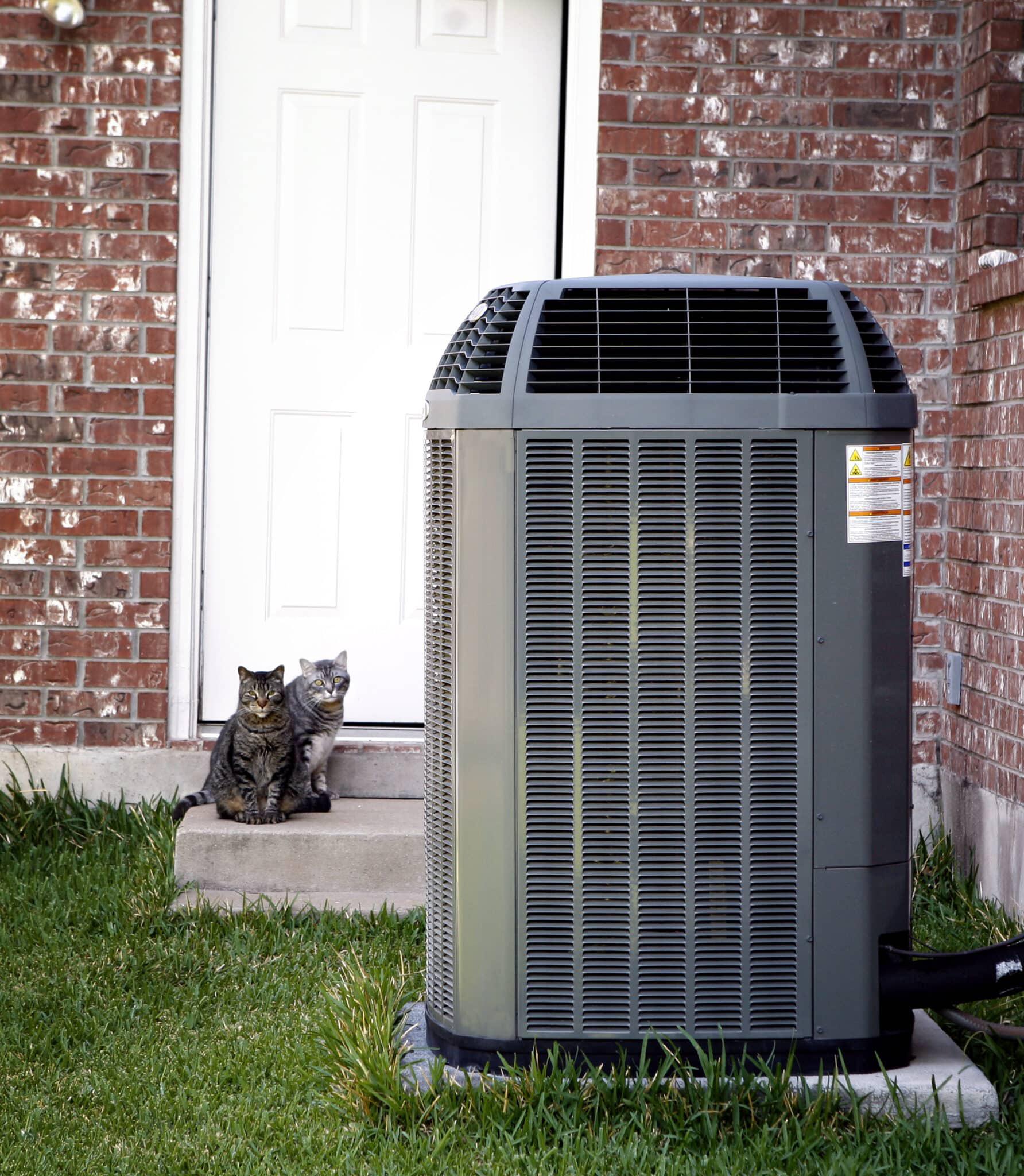 Key Steps for Energy Efficiency During Transition Months