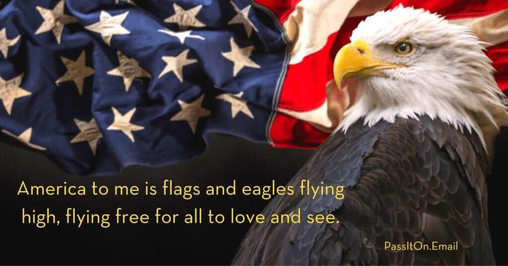 Flying Free Eagle Image