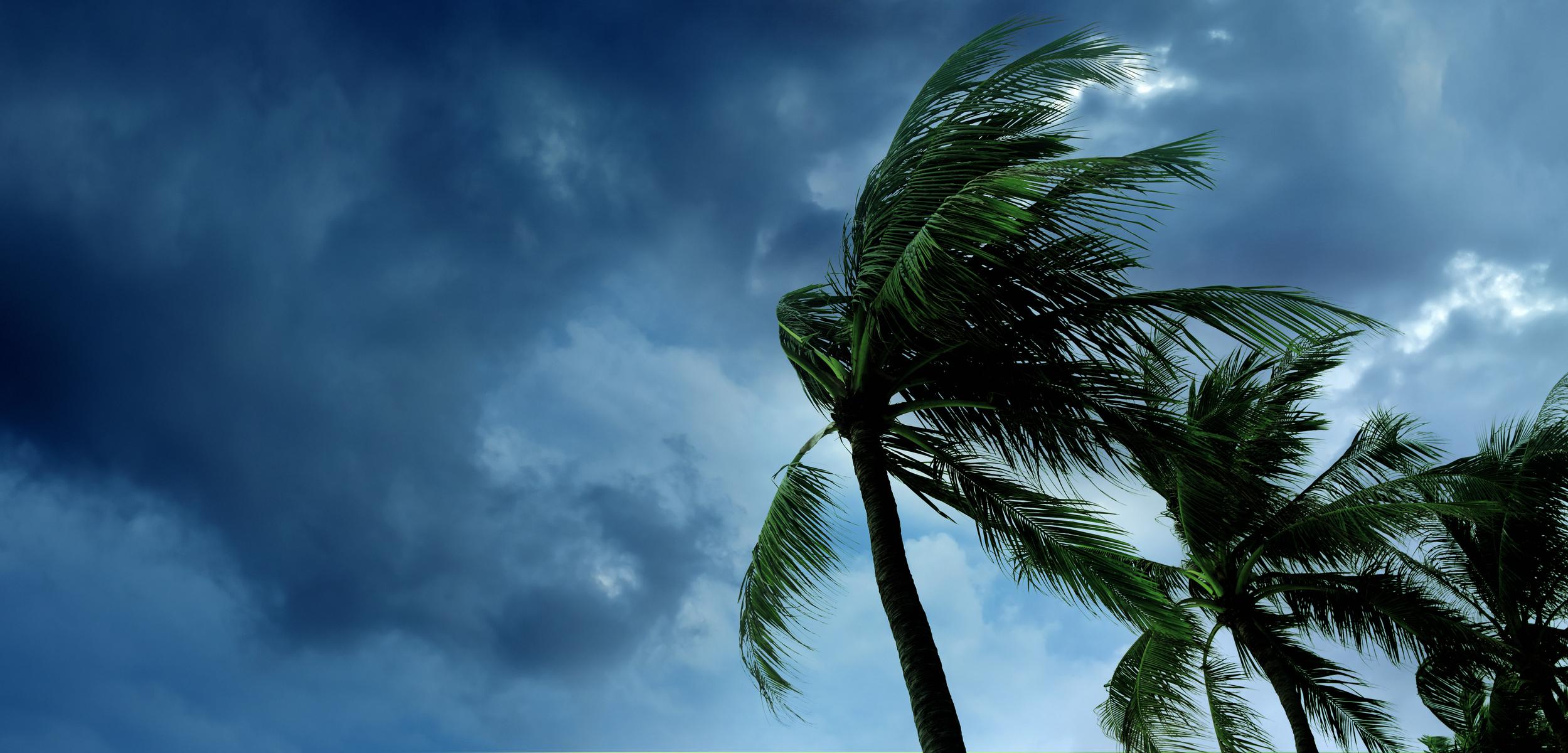 Protect Your Home During Tropical Storm Season