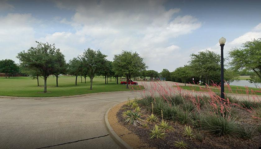 trees and landscaping