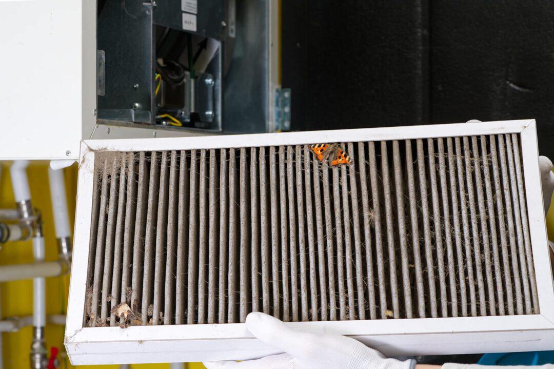 HVAC Filters Guide: Boost Air Quality & Combat Allergens