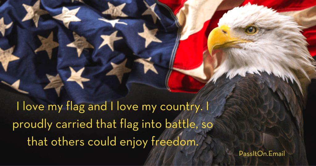 I Love My Flag Eagle Image