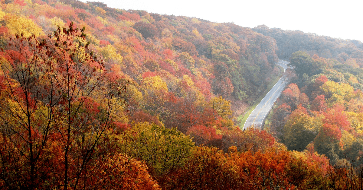 I Love Fall