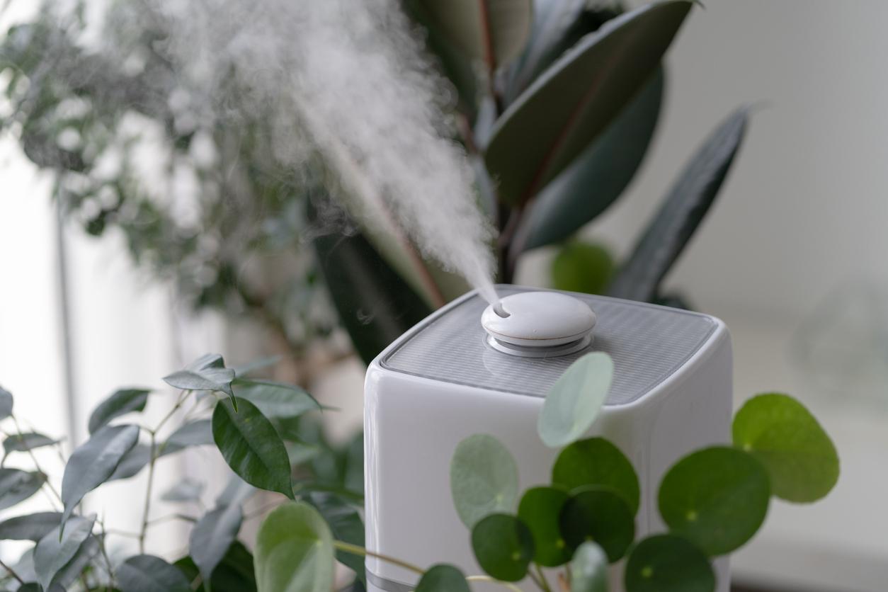 What is the Difference Between a Humidifier and a Dehumidifier?