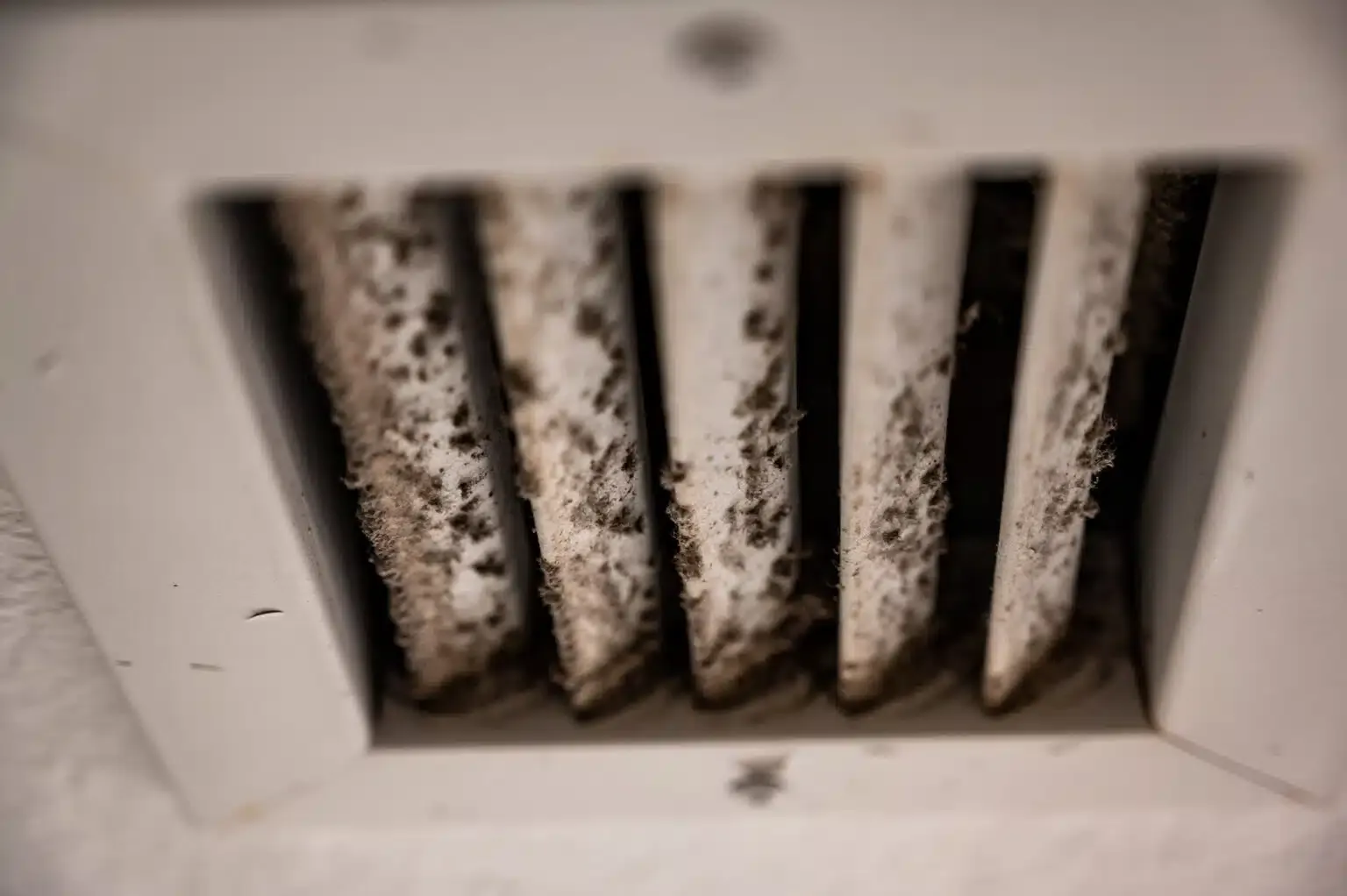 mold growing in vents