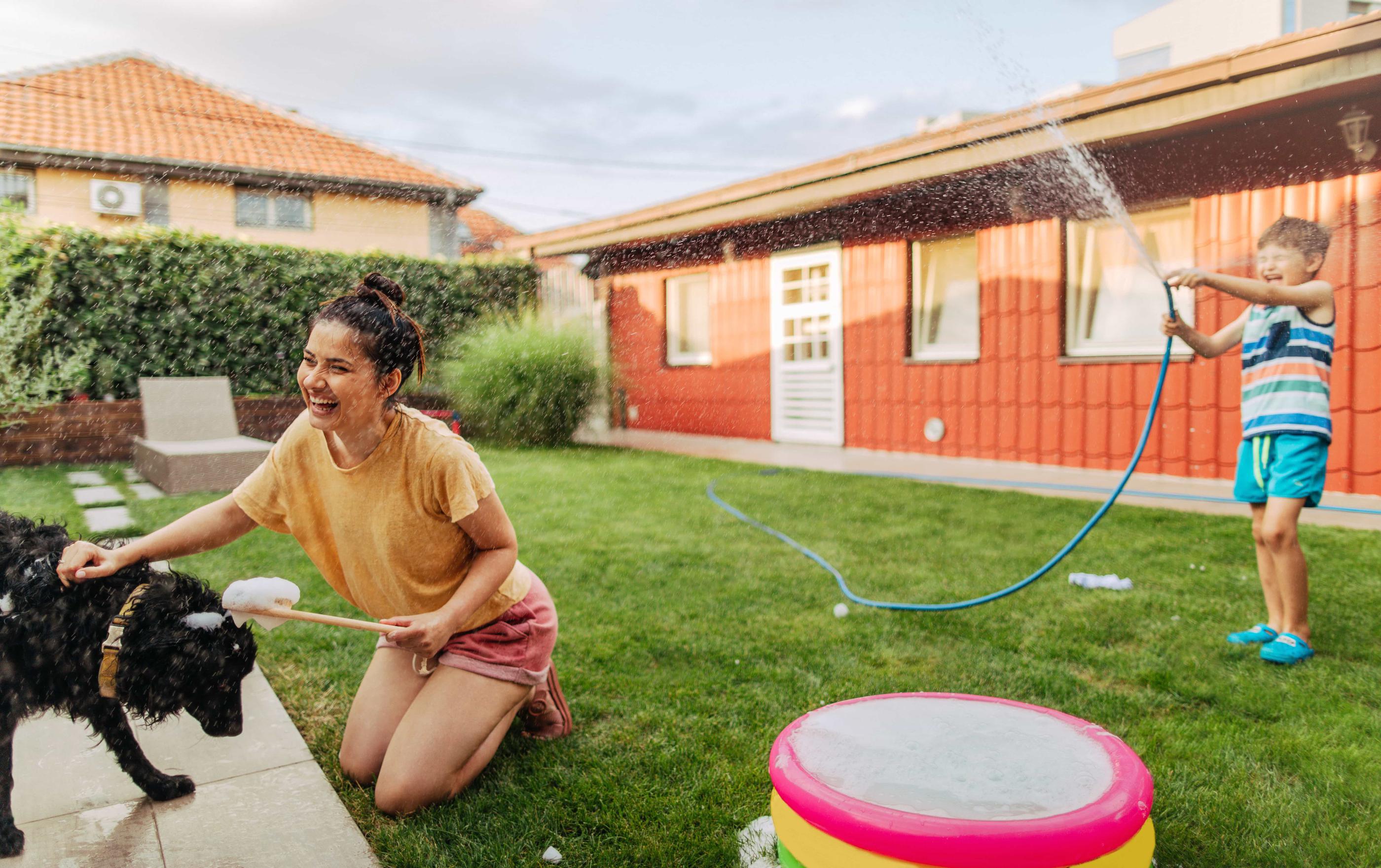 Staying Cool and Safe: Essential Tips for Pets and People during the Las Vegas Summer