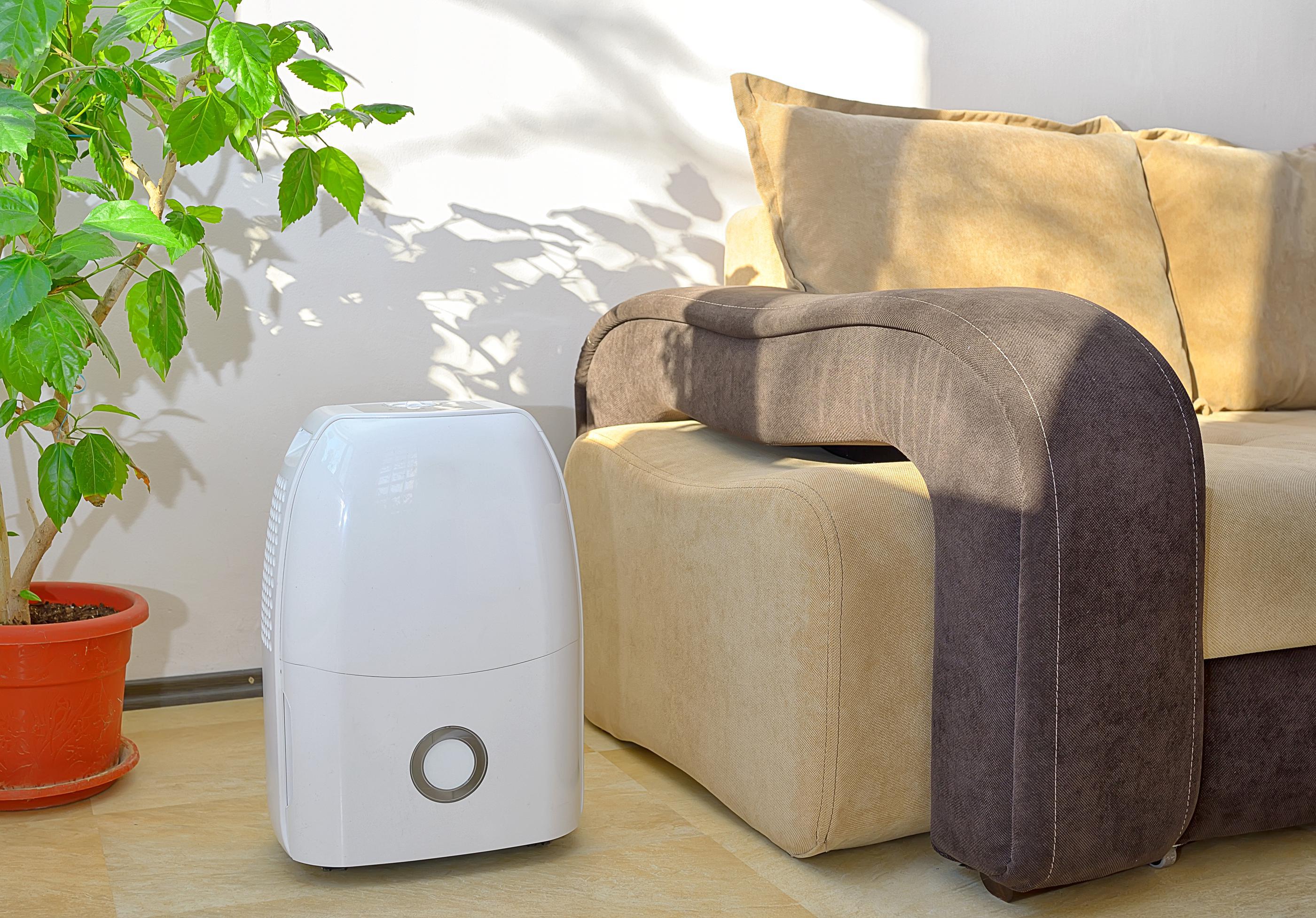 How to Dehumidify a House in Naples, FL