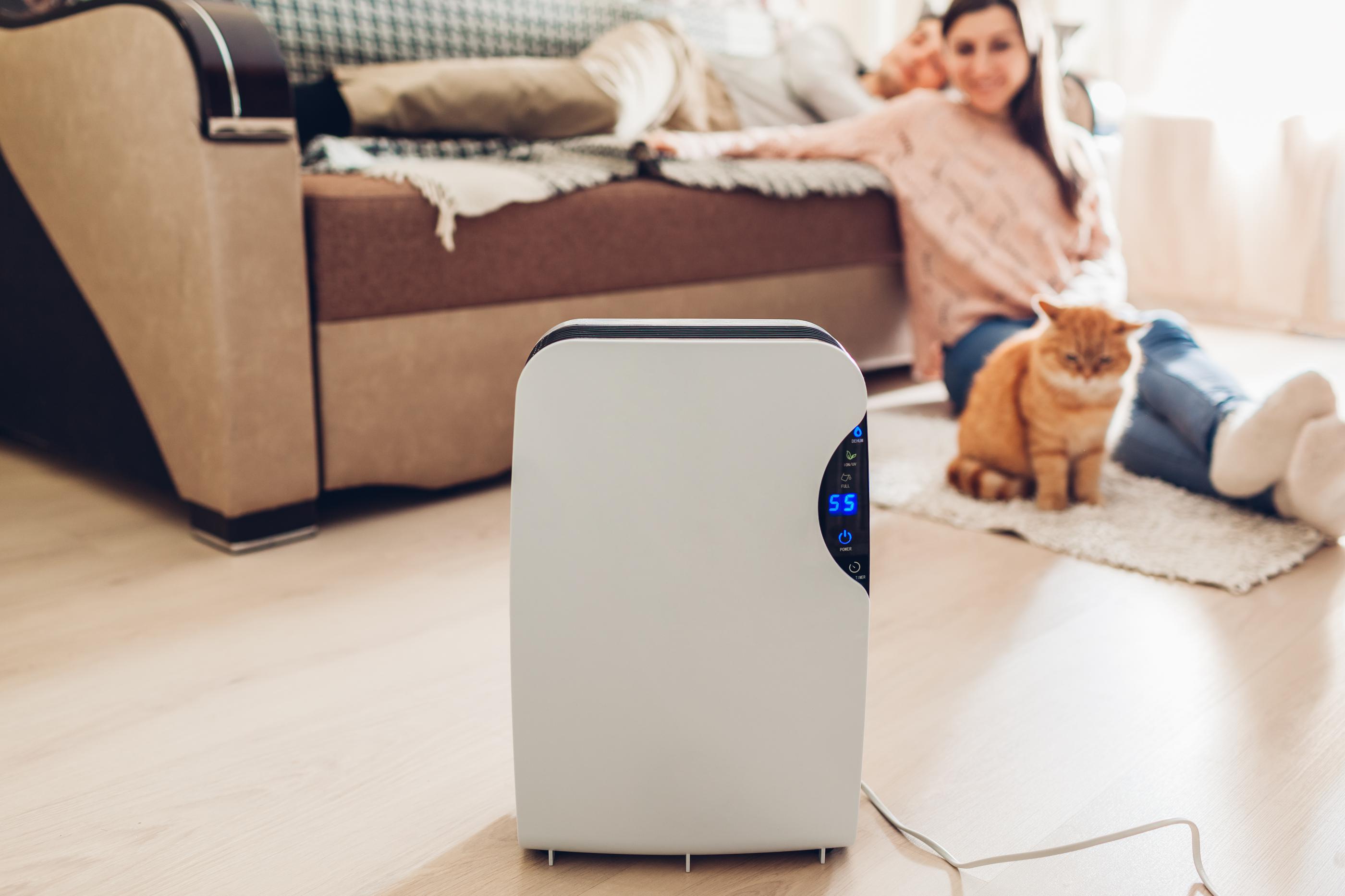 How Does Our High Humidity Affect Indoor Air Quality in Naples, FL?