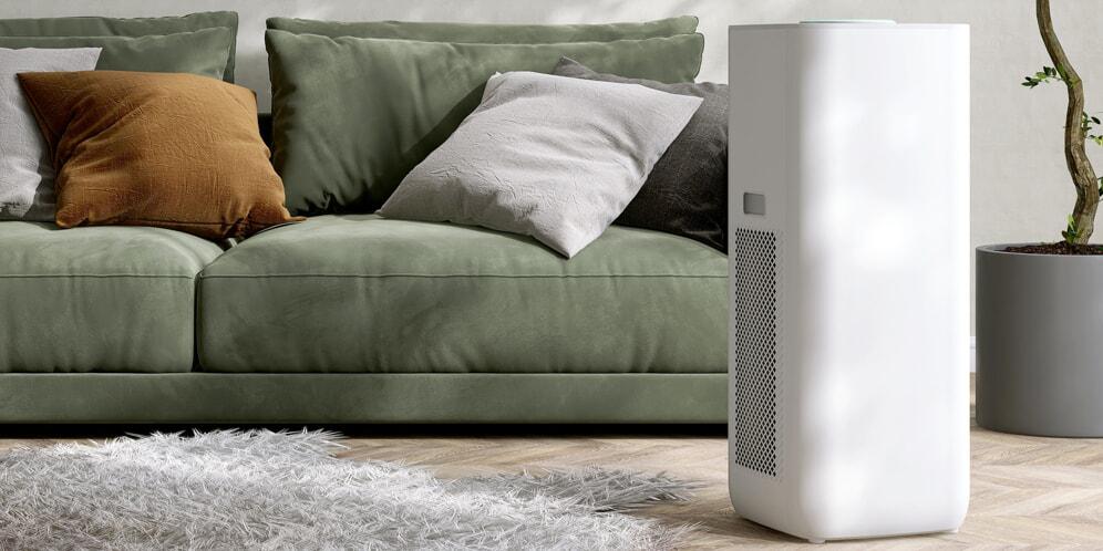 What Does a Dehumidifier Do?