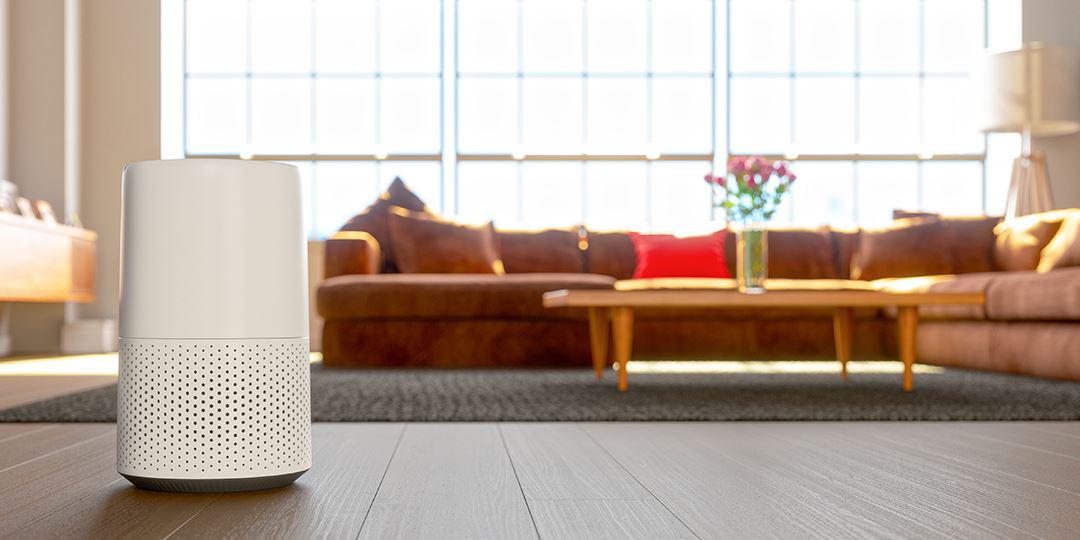 Where to Put an Air Purifier (And How Many You Need)