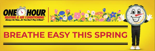 Breathe Easy This Spring: Improve Your Indoor Air Quality