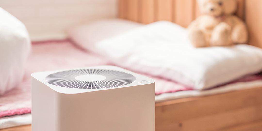 Do Air Purifiers Really Work?