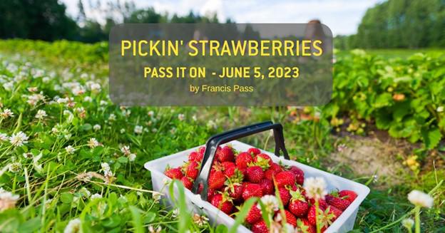 Pickin’ Strawberries