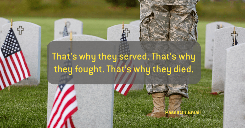 an image of a veteran at a memorial