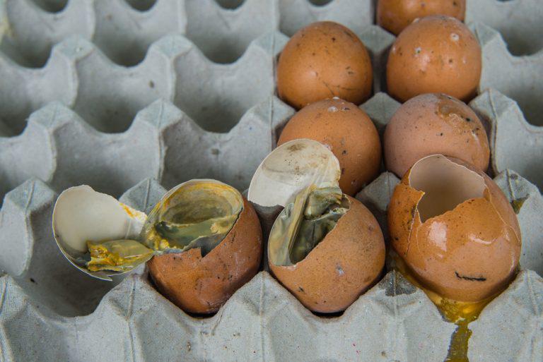rotten eggs one of the dangerous air conditioner smells