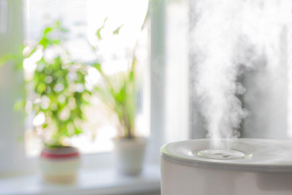 Your Complete Humidifier Maintenance Guide