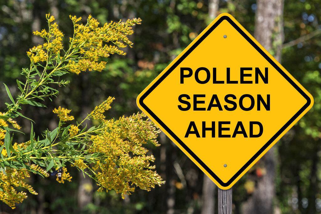 Let’s Keep Spring Pollen Outside