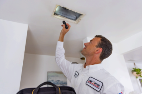 Breathe Easier in Laguna Niguel: Indoor air quali ty secrets for allergy-prone families