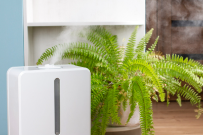 How to choose and budget for affordable dehumidifier installation in Arizona’s climate
