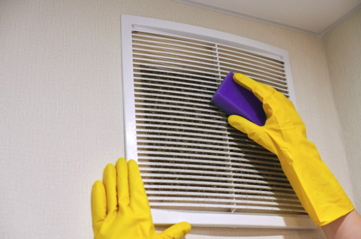 Indoor air quality guide for Arkansas homeowners: Humidity, allergens, and more