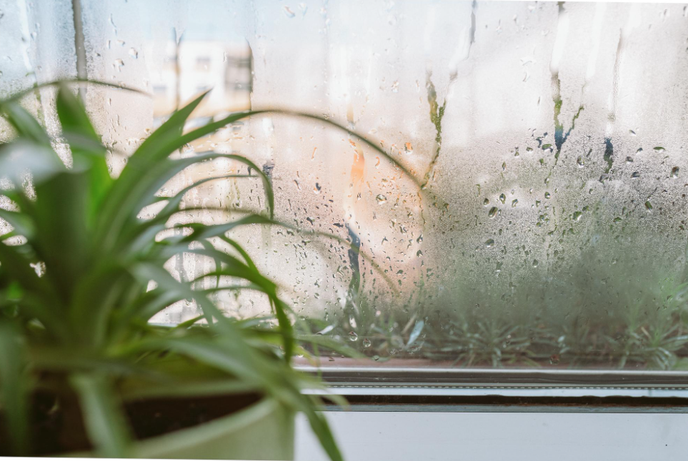 How summer humidity affects indoor comfort in Hoffman Estates homes