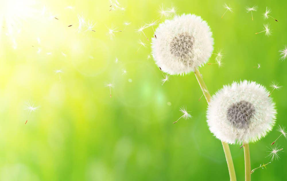 Solve Spring Allergies with Your HVAC System