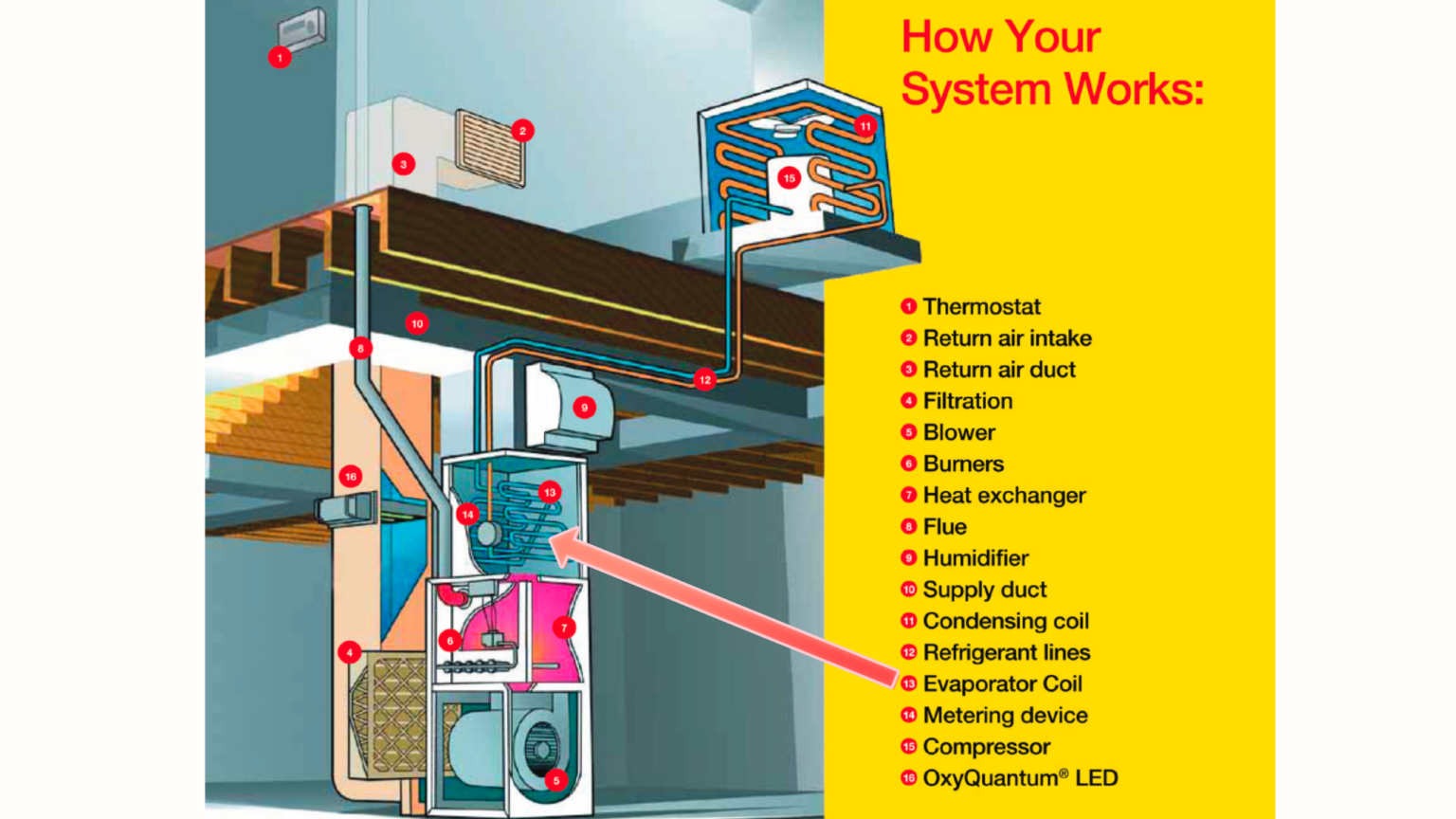 Evaporator Coil Guide: Where is it located, how does it work, and why does it leak?